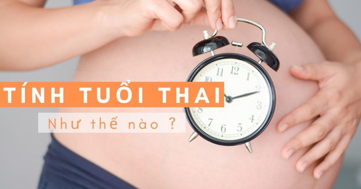 Tính Tuổi Thai Như Thế Nào ?
